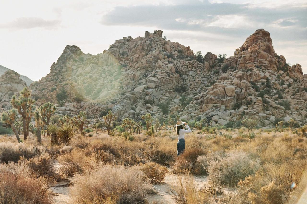 Field Station Joshua Tree Ξενοδοχείο Yucca Valley Εξωτερικό φωτογραφία